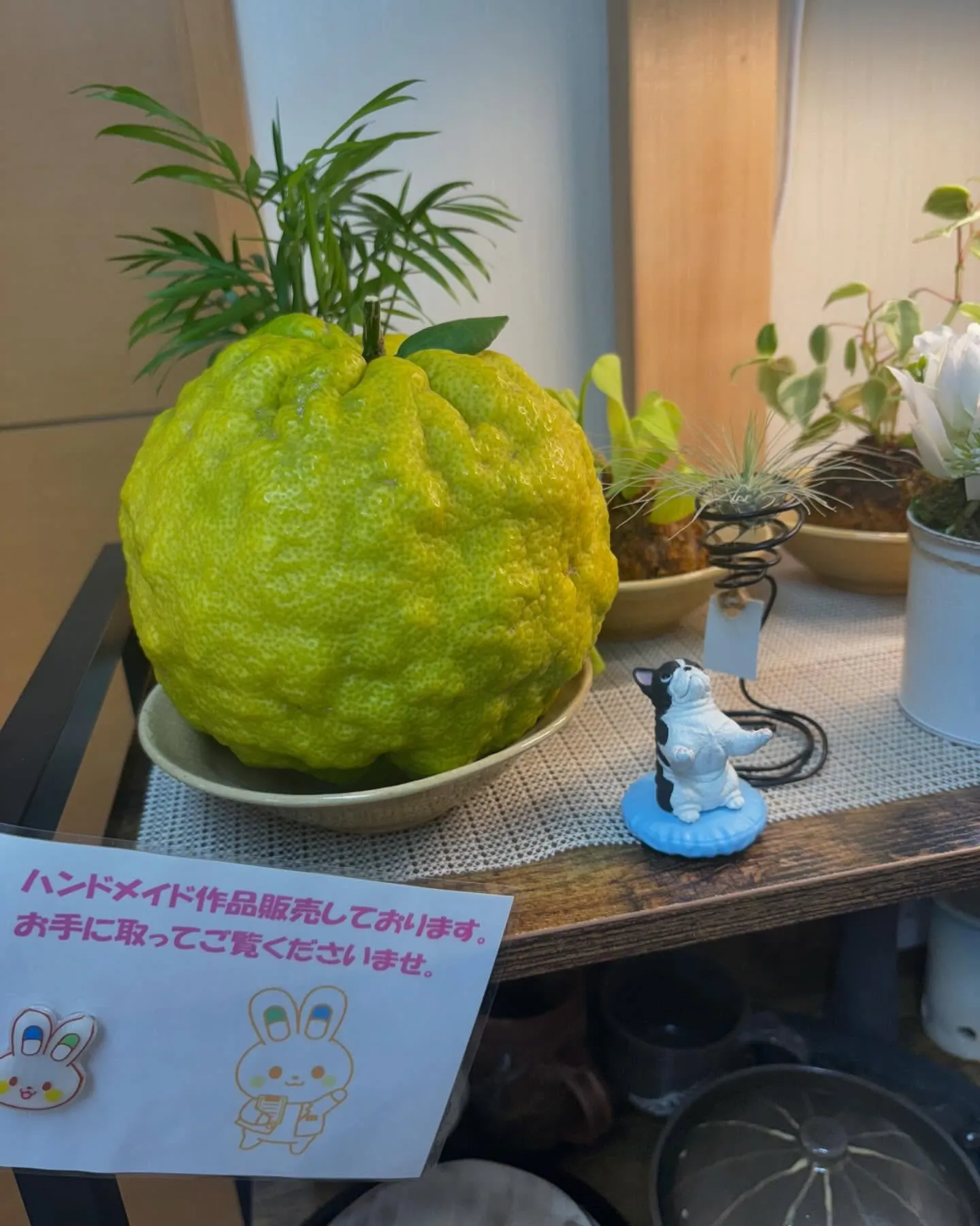 100日　インスタを頑張る薬局＜49日目＞